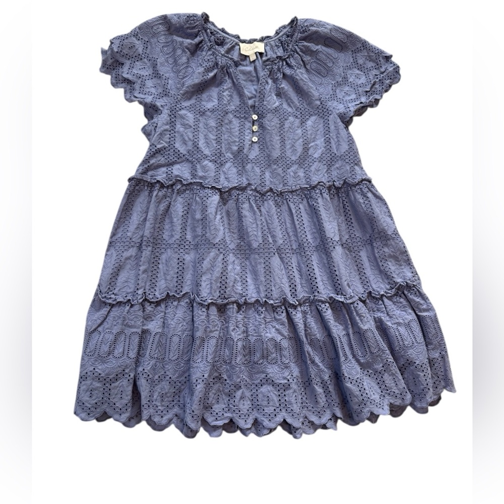 Cleobella Alma Embroidered Pointelle Mini Dress in a Blue/Purple Size Large - Picture 5 of 11